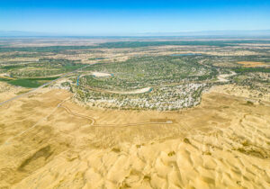 China’s Green Wall: Transforming the Taklamakan Desert into a Thriving Ecosystem