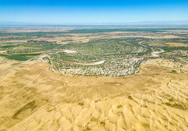 China’s Green Wall: Transforming the Taklamakan Desert into a Thriving Ecosystem