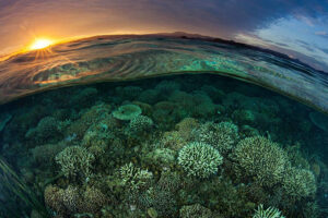 Protecting the World’s Oceans: UN High Seas Treaty to Take Effect