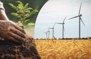 Environmental Sustainability: The Key to Economic Growth in Developing Countries