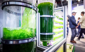 ACHEMA Expands to Saudi Arabia Amid Industrial and Energy Growth