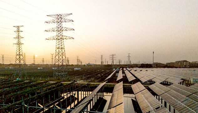 Renewables Account for 85.6% of New Global Power Capacity in 2025, IRENA Says